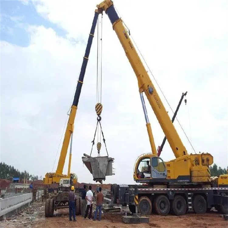 阆中小型吊机出租电话|厂房设备吊装方案|24小时服务覆盖